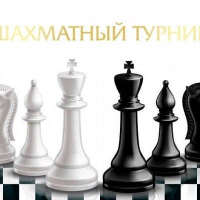 Проведение мастер-классов по игре в шашки, шахматы, домино