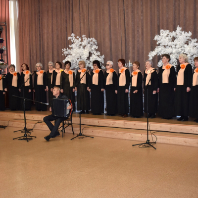 народный коллектив Хор ветеранов "Поющие сердца"