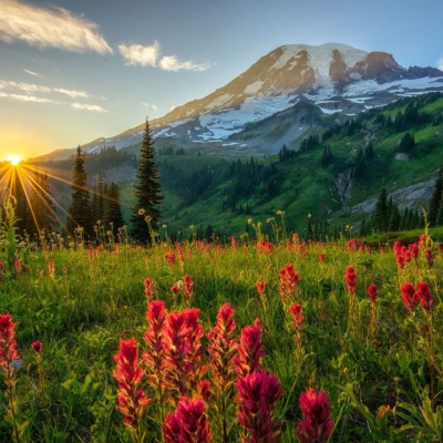 Оберег родной земли